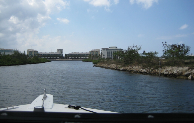 Cayman Waters