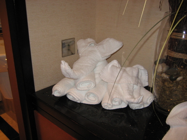 Towel Animals