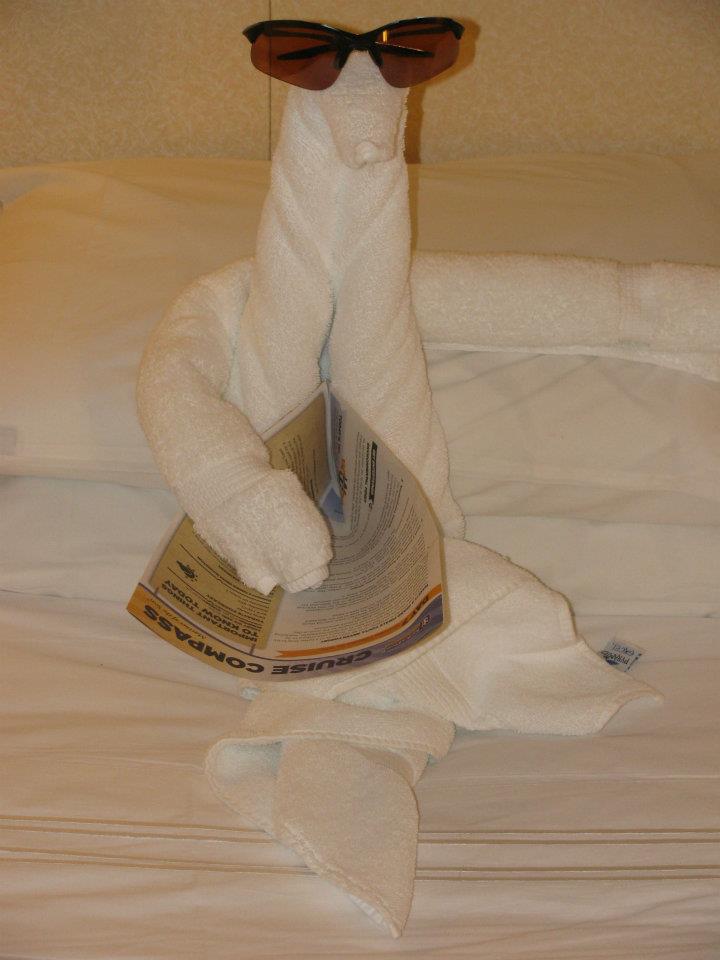 Towel Art